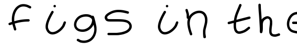 Figs in the Summer font preview